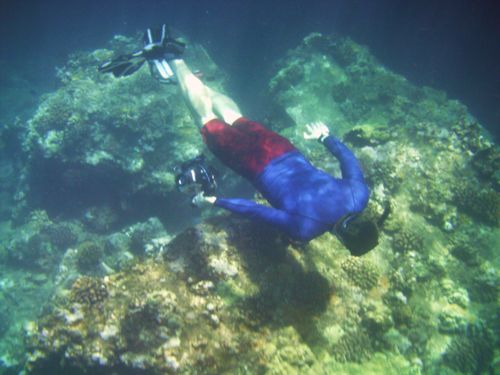 Maui underwater Sept 09 249